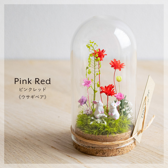 【お母さんへのギフトに大人気】ピンクレッド_プチ・てのリウム《プリザーブド苔テラリウム》 1枚目の画像