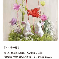 【お母さんへのギフトに大人気】ピンクレッド_プチ・てのリウム《プリザーブド苔テラリウム》 3枚目の画像