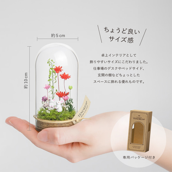 【お母さんへのギフトに大人気】ピンクレッド_プチ・てのリウム《プリザーブド苔テラリウム》 8枚目の画像