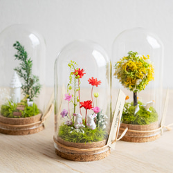 【お母さんへのギフトに大人気】ピンクレッド_プチ・てのリウム《プリザーブド苔テラリウム》 5枚目の画像