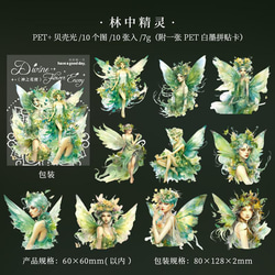  第14張的照片