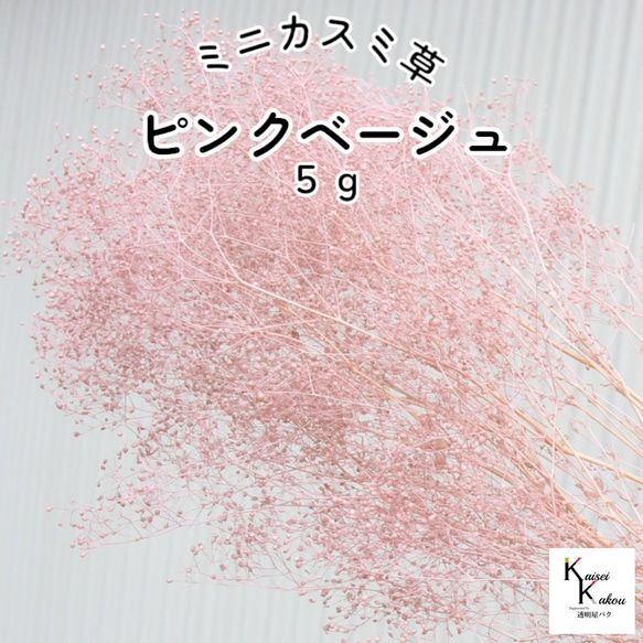 地球農場！永生花「迷你滿天星粉紅米色 5g」Preza 滿天星花素材標本館 第1張的照片