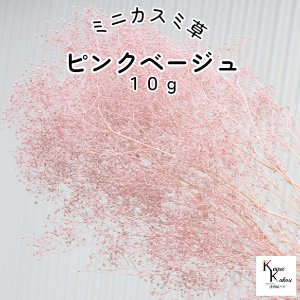 大地農園！プリザーブドフラワー「ミニカスミ草 ピンクベージュ 10g」プリザ カスミ草　カスミソウ 花材 ハーバリウム 1枚目の画像