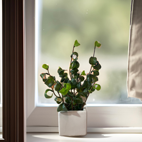 光触媒　人工観葉植物　ウォールグリーン　フェイクグリーン　ベンジャミンバロックg 光触媒 人工観葉植物 ウォールグリーン フェイクグリーン ベンジャミン