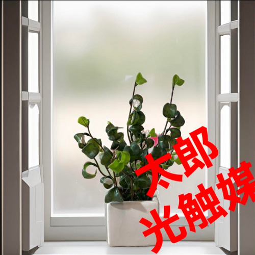 光触媒　人工観葉植物　ウォールグリーン　フェイクグリーン　ベンジャミン240 光触媒 人工観葉植物 ウォールグリーン フェイクグリーン