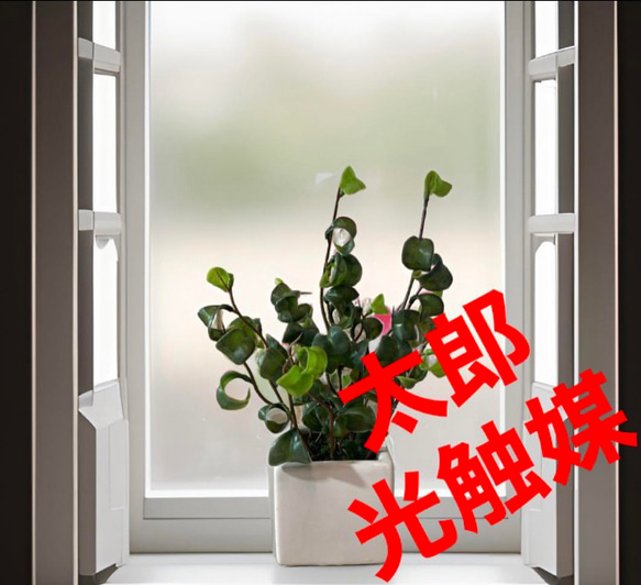 光触媒 人工観葉植物 ウォールグリーン フェイクグリーン