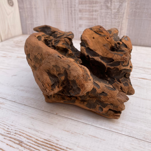 流木インテリア オブジェ 1070100019 その他インテリア雑貨 Umibe no