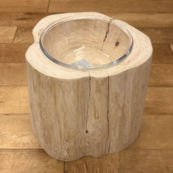 【Pet Table Hinoki】  No.628 1枚目の画像