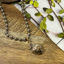 藤井フミヤ☆シルバーネックレス ネックレス・ペンダント LUCKY