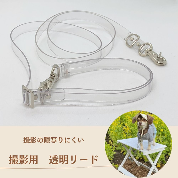 モダンクリアカフェリード