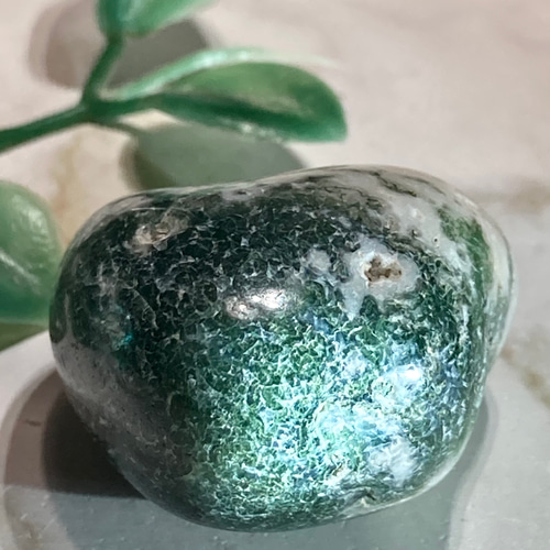 ツリーアゲート✨ 瑪瑙 原石 タンブル 天然石 東洋占星術師の娘