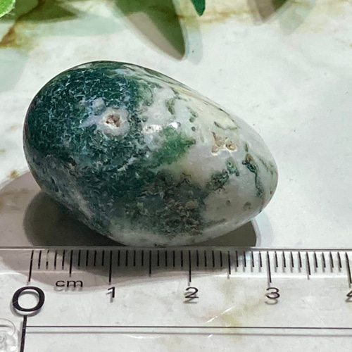 ツリーアゲート✨ 瑪瑙 原石 タンブル 天然石 東洋占星術師の娘