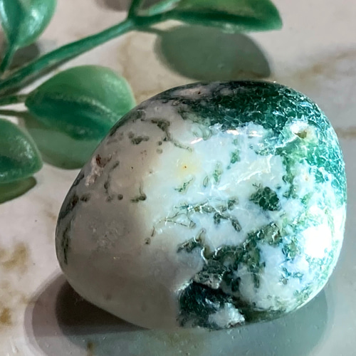 ツリーアゲート✨ 瑪瑙 原石 タンブル 天然石 東洋占星術師の娘