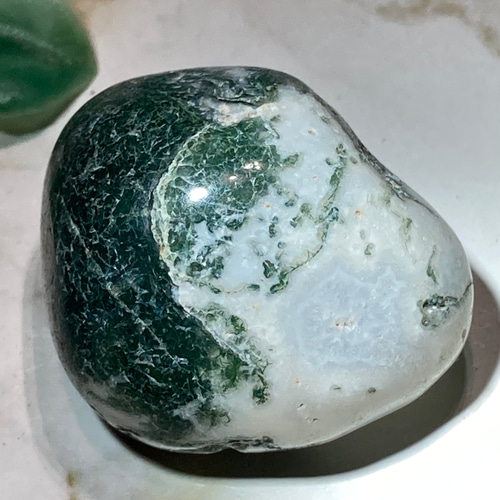 ツリーアゲート✨ 瑪瑙 原石 タンブル 天然石 東洋占星術師の娘