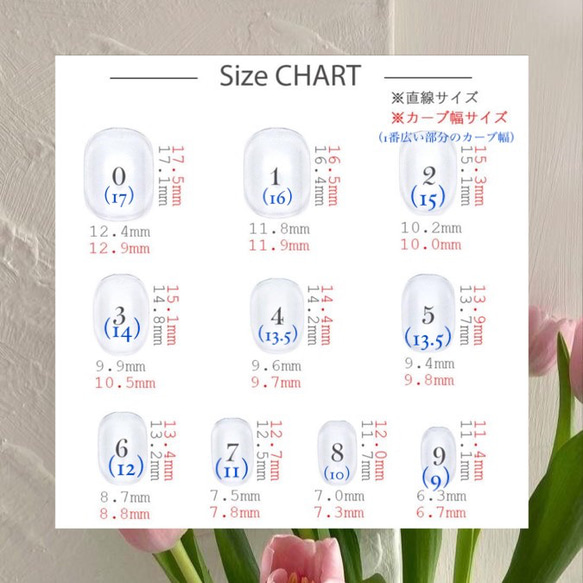 【 計測chip 】 2枚目の画像