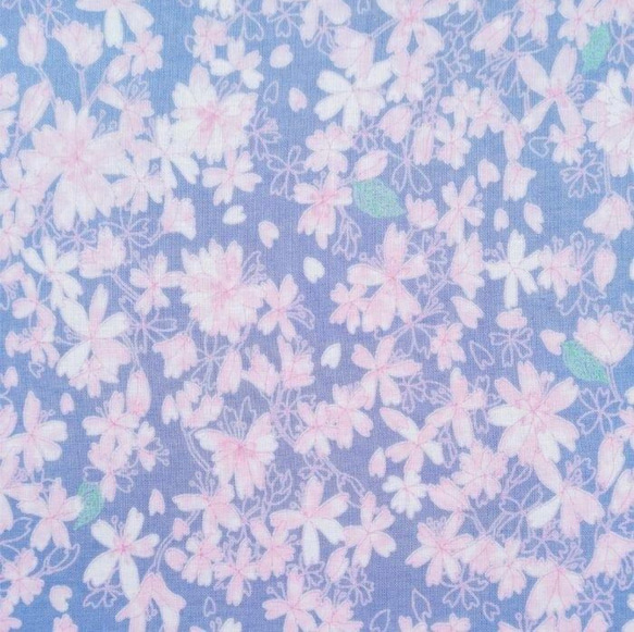 京町桜×青藍（せいらん） 2枚目の画像