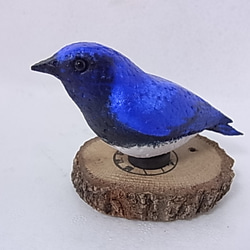 メジロ　レジンヘアゴム　野鳥 メジロ レジンヘアゴム 野鳥