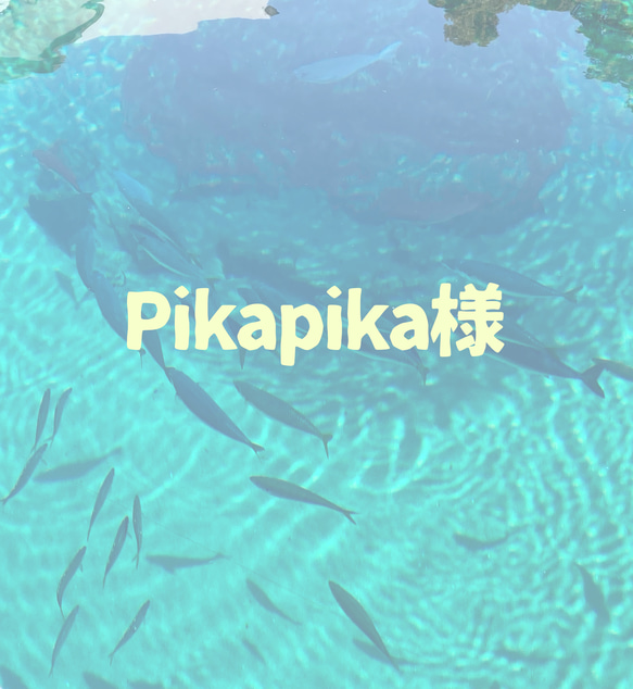 Pikapika様オーダー 1枚目の画像