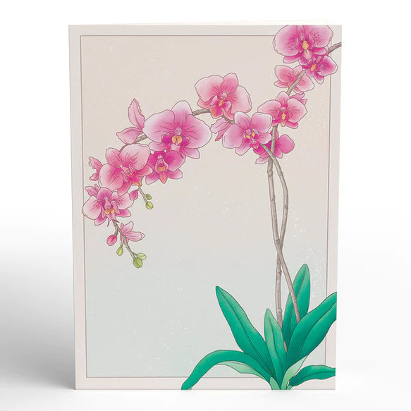 ポップアップグリーティングカード　Watercolor Orchid 3枚目の画像