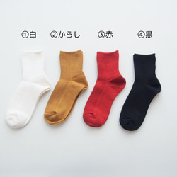  第5張的照片