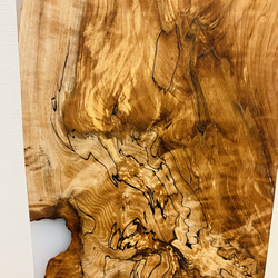 トチの木　栃　スポルテッド　一枚板　天板　 1枚目の画像