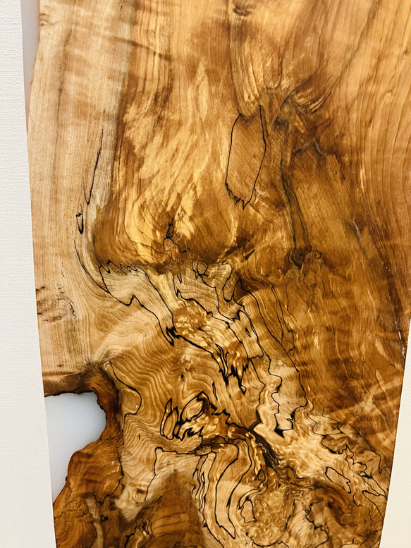 トチの木　栃　スポルテッド　一枚板　天板　 1枚目の画像