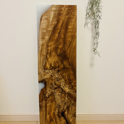 トチの木　栃　スポルテッド　一枚板　天板　 8枚目の画像