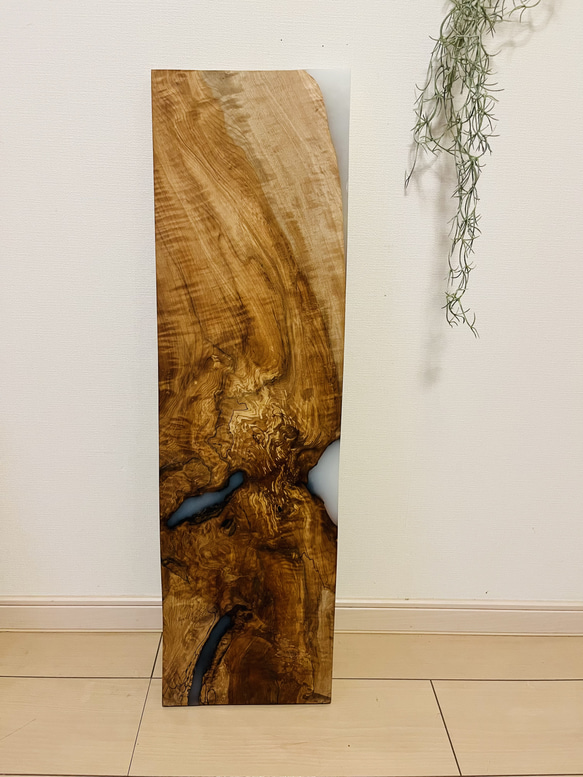 トチの木　栃　スポルテッド　一枚板　天板　 4枚目の画像