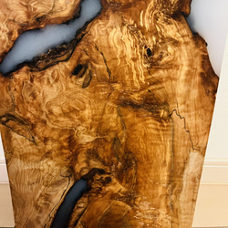 トチの木　栃　スポルテッド　一枚板　天板　 9枚目の画像