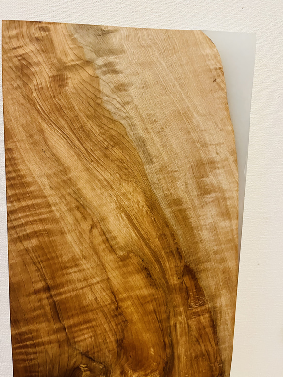 トチの木　栃　スポルテッド　一枚板　天板　 10枚目の画像