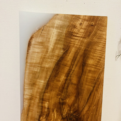 トチの木　栃　スポルテッド　一枚板　天板　 6枚目の画像