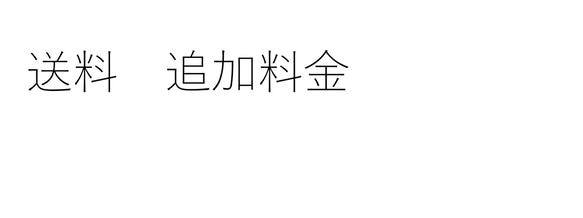 【追加料金】＊＊グログランリボンのブローチ＊＊（リボン幅１３㎜） 1枚目の画像