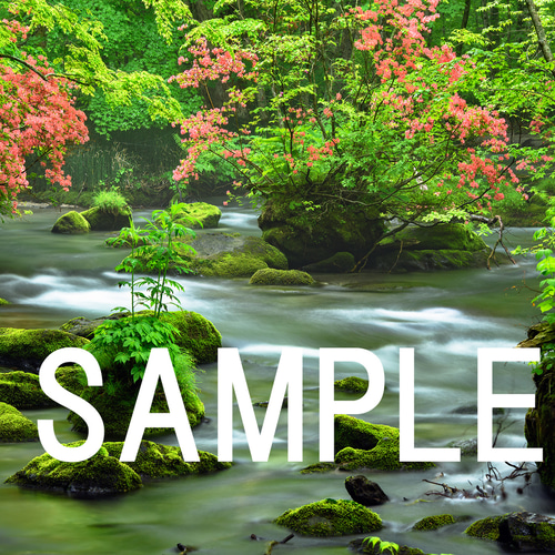 初夏の奥入瀬渓流」森 秀雄、希少画集・額装画、オーダーマット加工