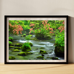 ツツジ咲く新緑の奥入瀬渓流 三乱の流れ インテリアアートポスター