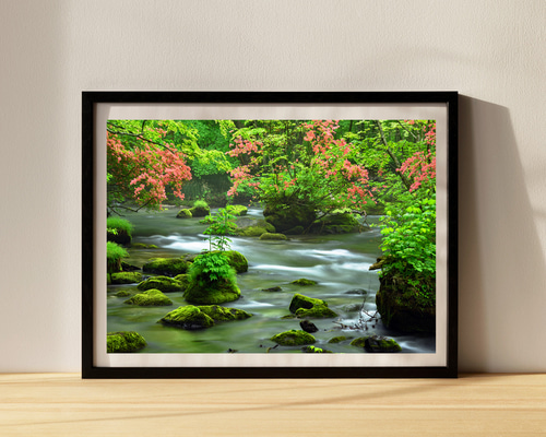 「初夏の奥入瀬渓流」森 秀雄、希少画集・額装画、オーダーマット加工・額装付 be88ead959b3f2c187a277b1d41b15