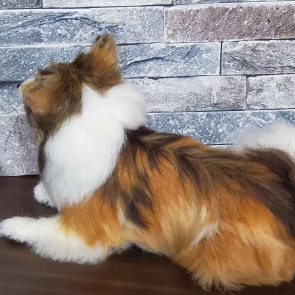 羊毛フェルトオーダーメイド、受注制作、羊毛フェルト犬、ペットロス、うちの子、リアル羊毛フェルト 
