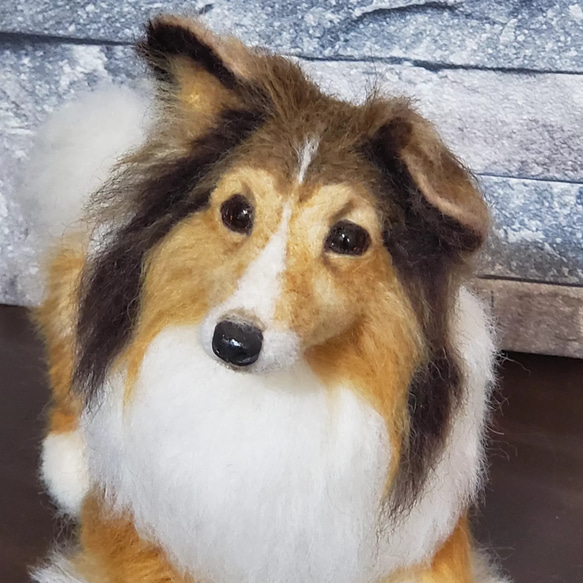 羊毛フェルトオーダーメイド、受注制作、羊毛フェルト犬、ペットロス、うちの子、リアル羊毛フェルト 
