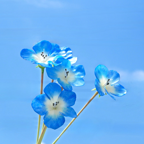 専用 さくら れんげそう ネモフィラ クレイフラワー 専用 さくら れんげそう ネモフィラ クレイフラワー クレイフラワー