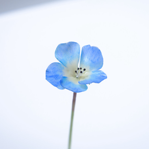 再販＞ ネモフィラ グラデーションブルー 3本✿クレイフラワーNO.N1