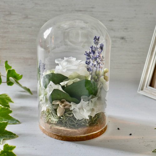 仏花 ガラスドーム（大）白バラ×紫マム プリザーブドフラワー お供え