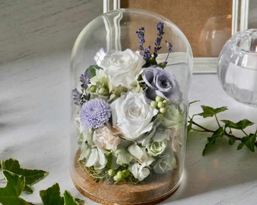 bdc78232689bf9487a6c36d12f3e30