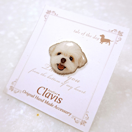 ポメラニアン×マルチーズmix【Sサイズ】ピンバッジ ペット服