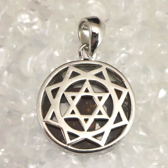 セリコ産 パラサイト隕石 六芒星＆八芒星 17mmラウンド ペンダント 4.4