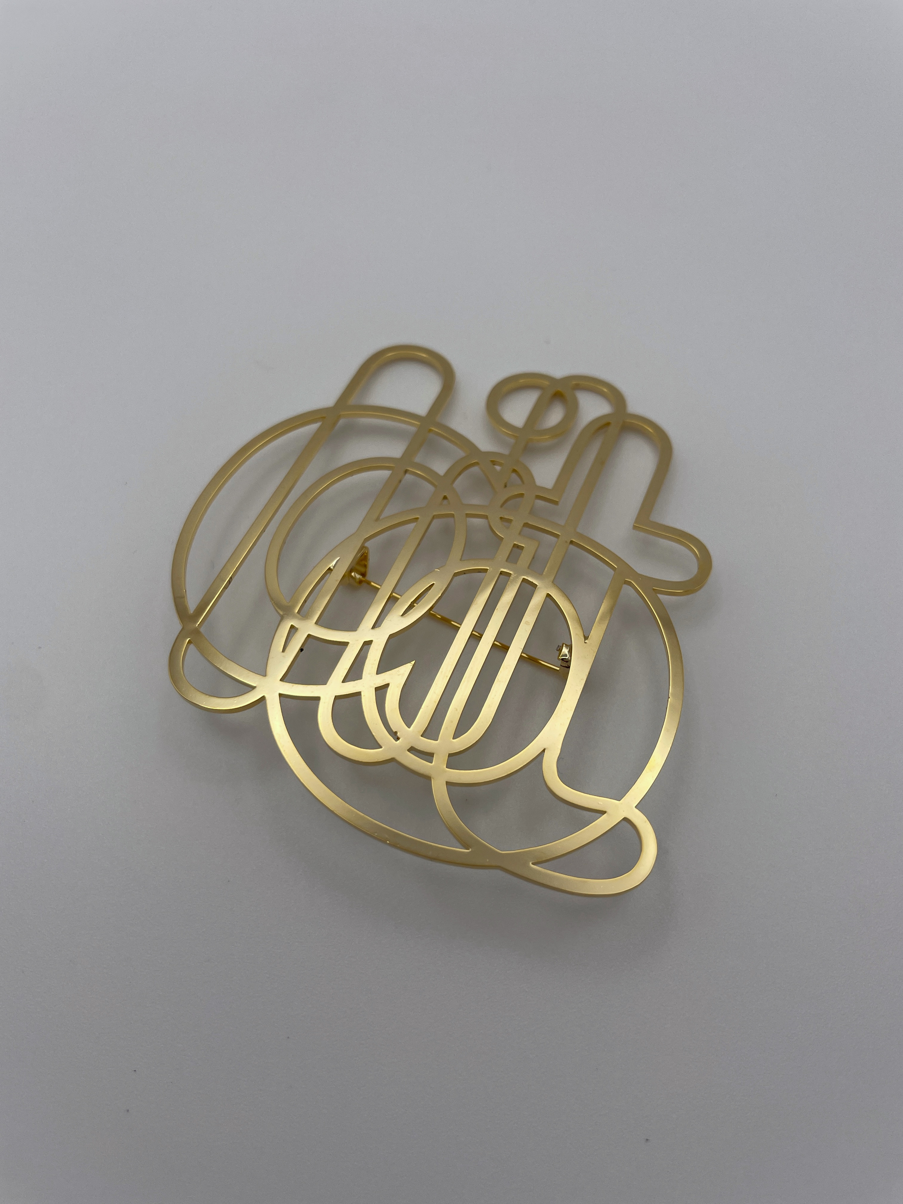 wearable word / brooch / Idiot