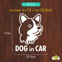 DOG IN CAR/コーギーB カッティングステッカー KIDS IN・BABY IN・SAFETY 3枚目の画像