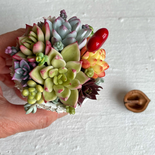 樹脂粘土 多肉 チャーム 樹脂粘土 多肉 チャーム