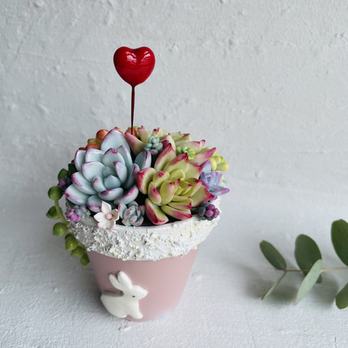 樹脂粘土 多肉 チャーム 樹脂粘土 多肉 チャーム