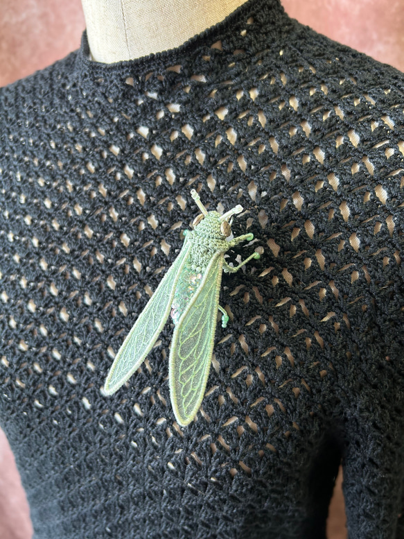 帝王蝉　翡翠色　brooch 15枚目の画像