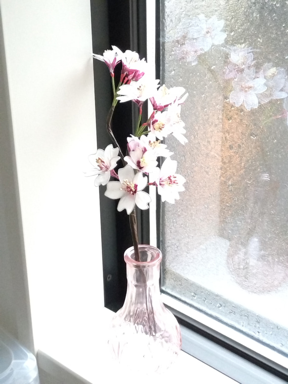 桜　アメリカンフラワー　枯れない花 1枚目の画像
