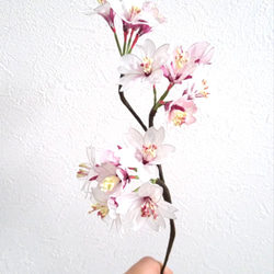 桜　アメリカンフラワー　枯れない花 3枚目の画像